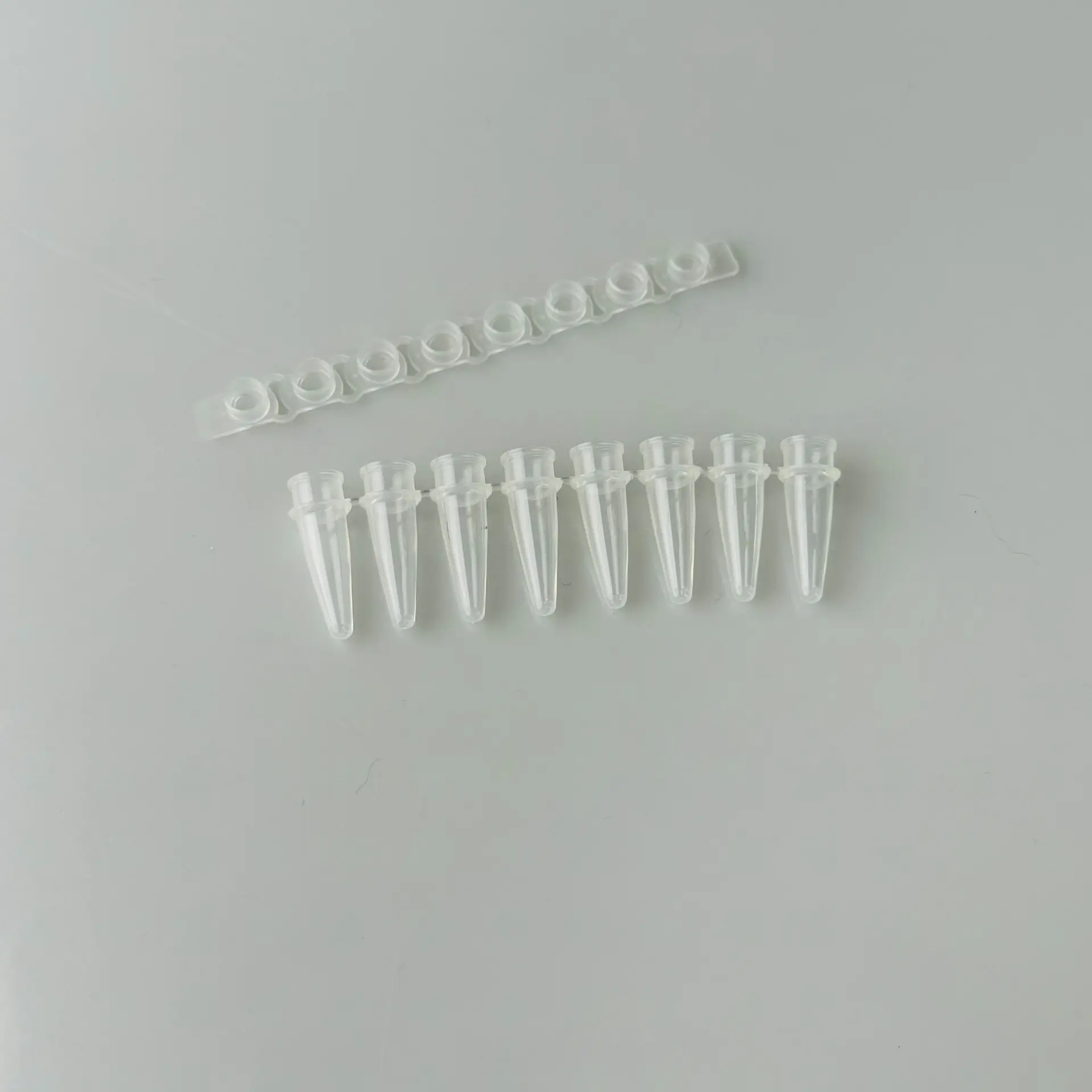 PCR Consumables — Laboratory supplied by Philmed Supplies Inc.