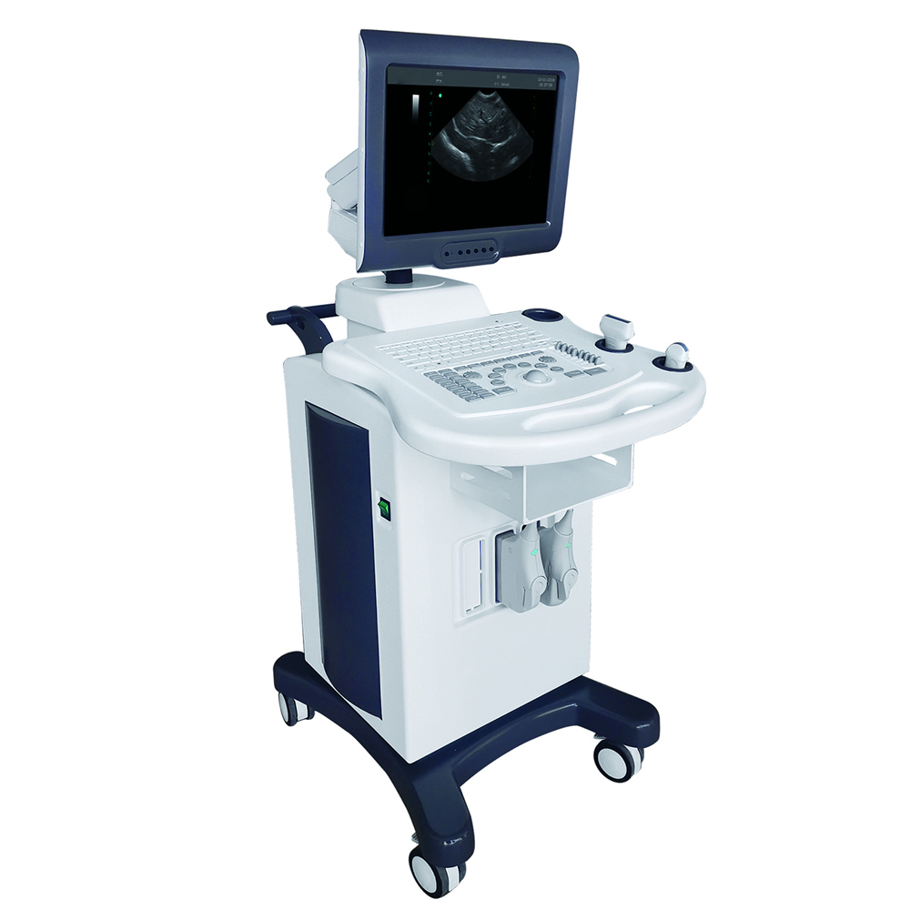 Ultrasound Machine — Medical Diagnosis supplied by Philmed Supplies Inc.
